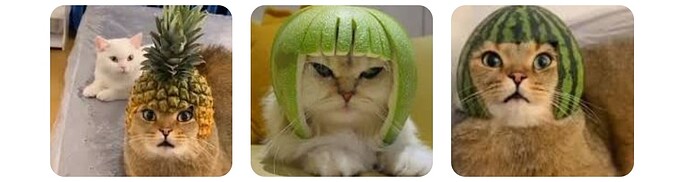 epler-look