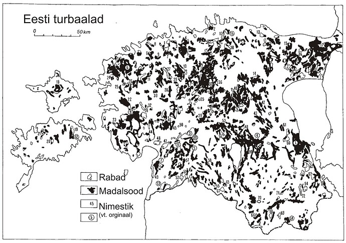 17555042244832991858174375161032
