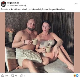mitteisik