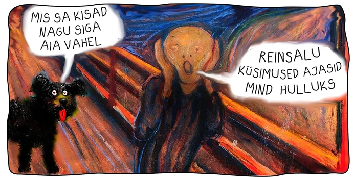 sotsid