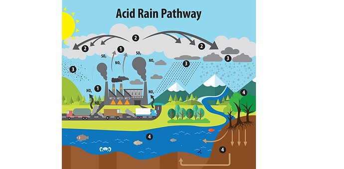 acidrainpathways