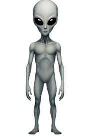 17627918375126807578650381156329